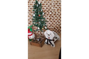 Köpek Mama Kutusu
