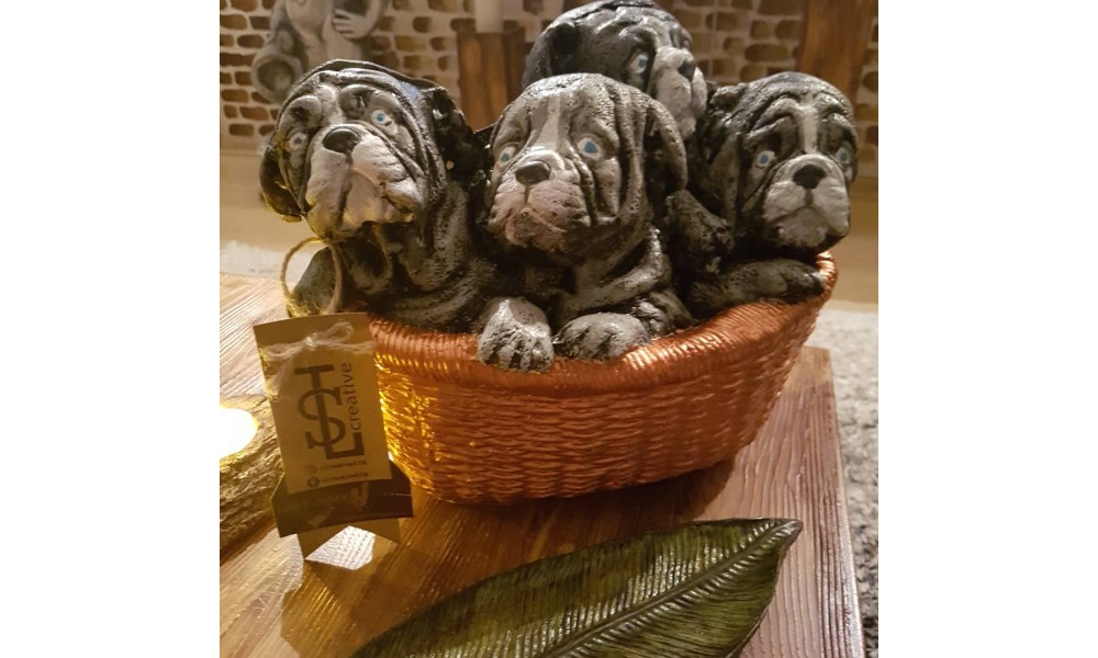 Üç Köpek
