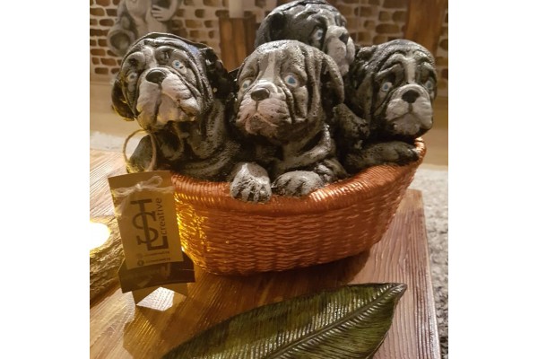 Üç Köpek